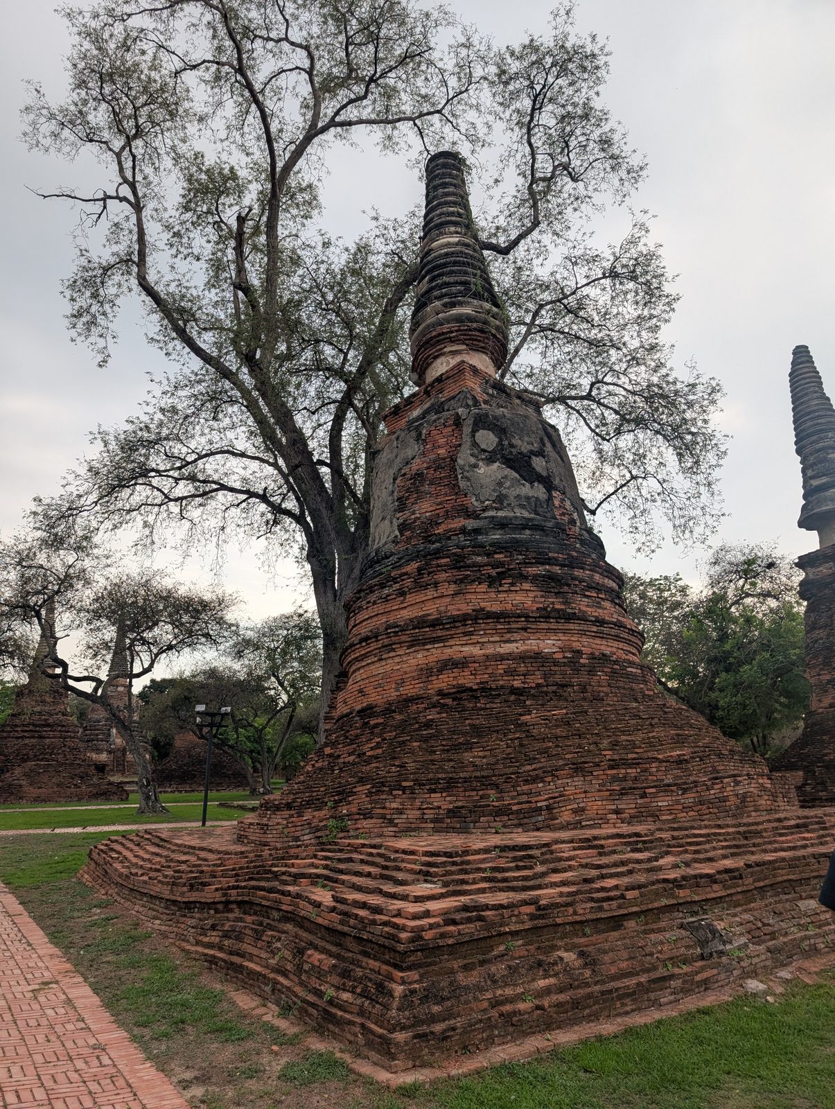 アユタヤの仏塔群 Brick chedi ruins in Ayutthaya Historical Park