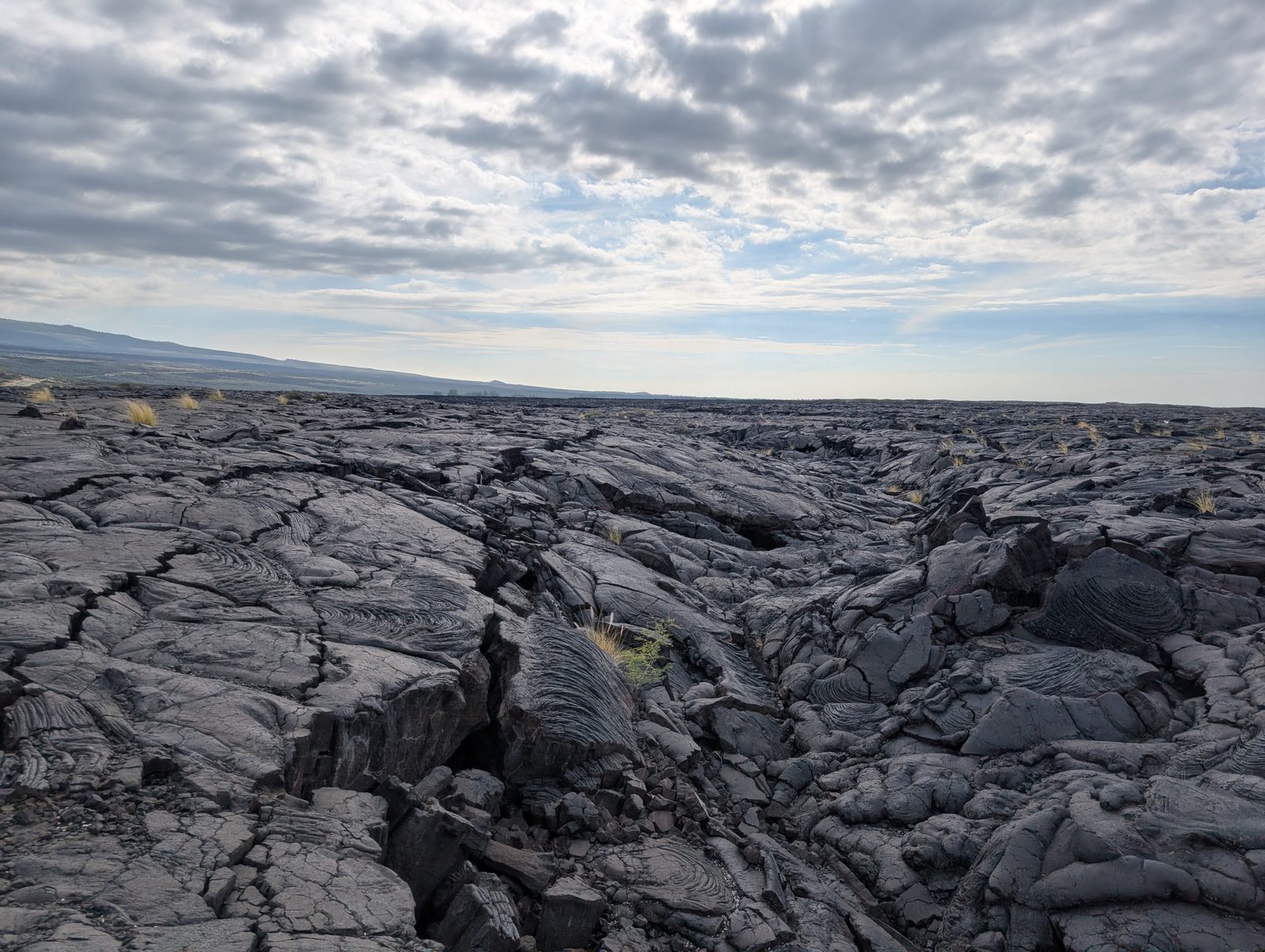 ハワイ島コハラコーストの溶岩原 Vast lava field along the Kohala coast, Big Island