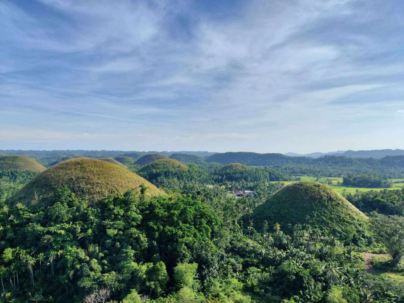 ボホール島のチョコレートヒルズ The Chocolate Hills of Bohol, Philippines