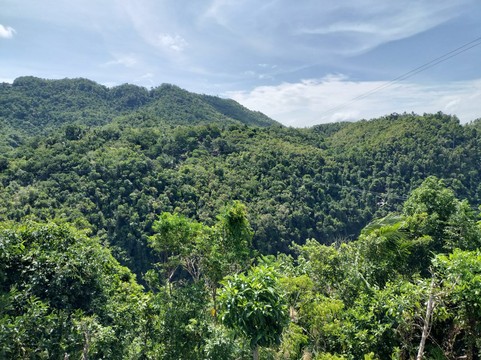 ボホール島の渓谷を渡るジップライン Zipline crossing a jungle valley in Bohol