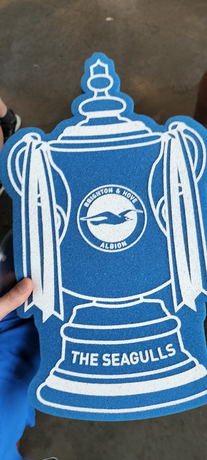 ブライトンのシーガルズ応援フラッグ Brighton Seagulls supporter flag