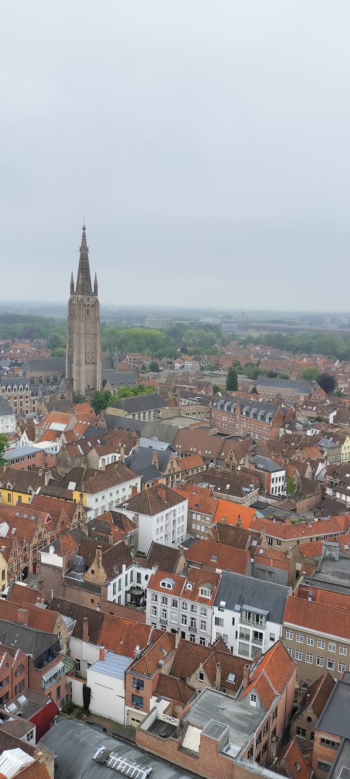 鐘楼から見る聖母教会の尖塔とオレンジ屋根 Church of Our Lady spire and orange rooftops from the Belfry