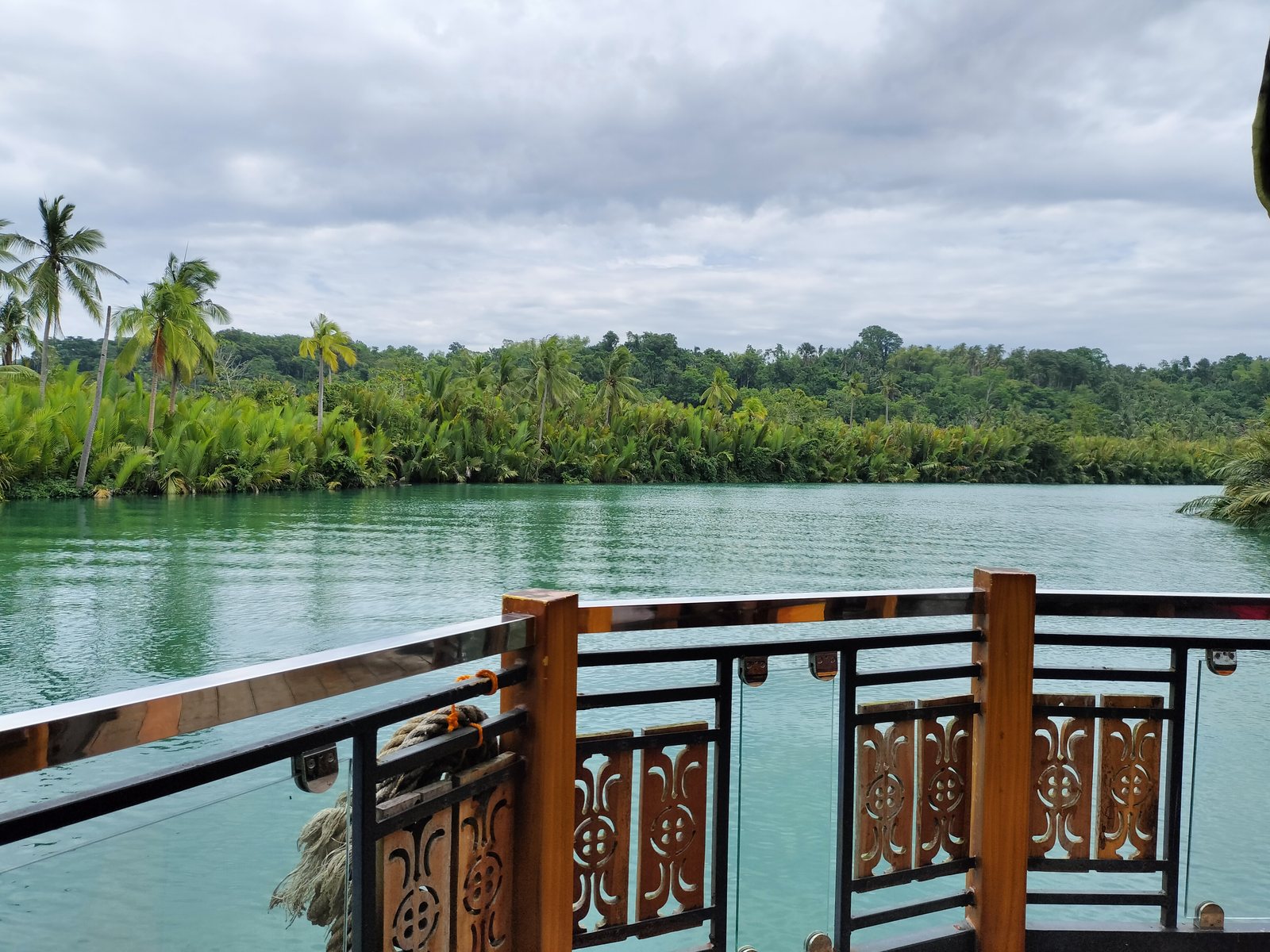 ジャングルに挟まれたロボック川 The Loboc River between jungle banks, Bohol
