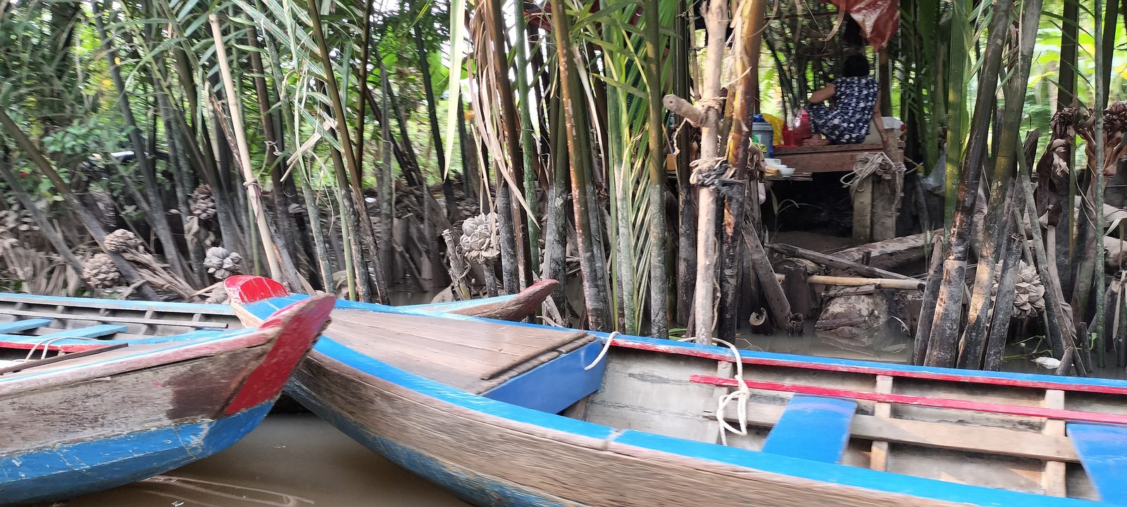 ニッパヤシの水路に並ぶサンパン船 Sampan boats moored under nipa palms, Mekong Delta
