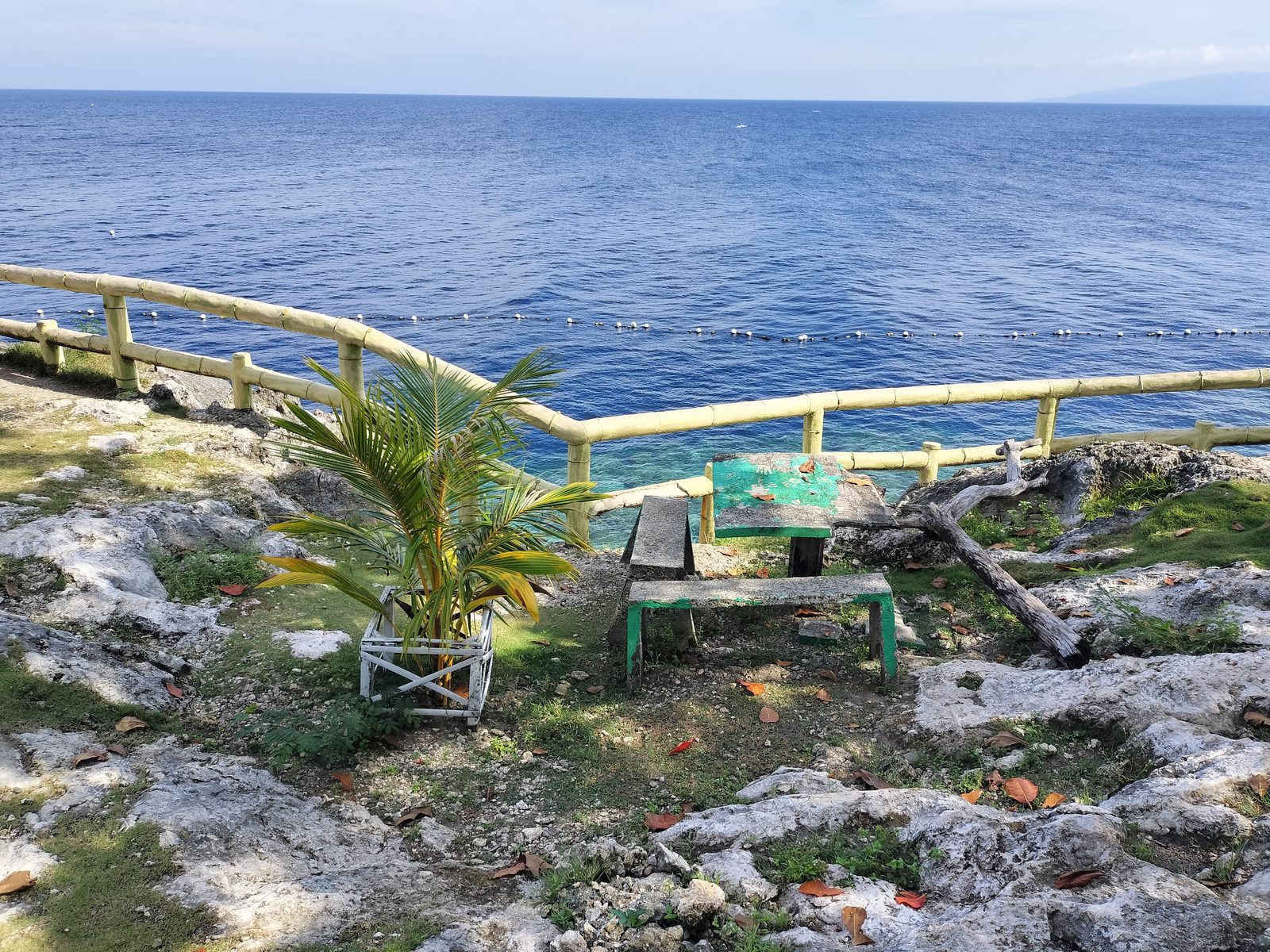朝のパングラオ島の海岸 Morning at the Panglao coast, Bohol
