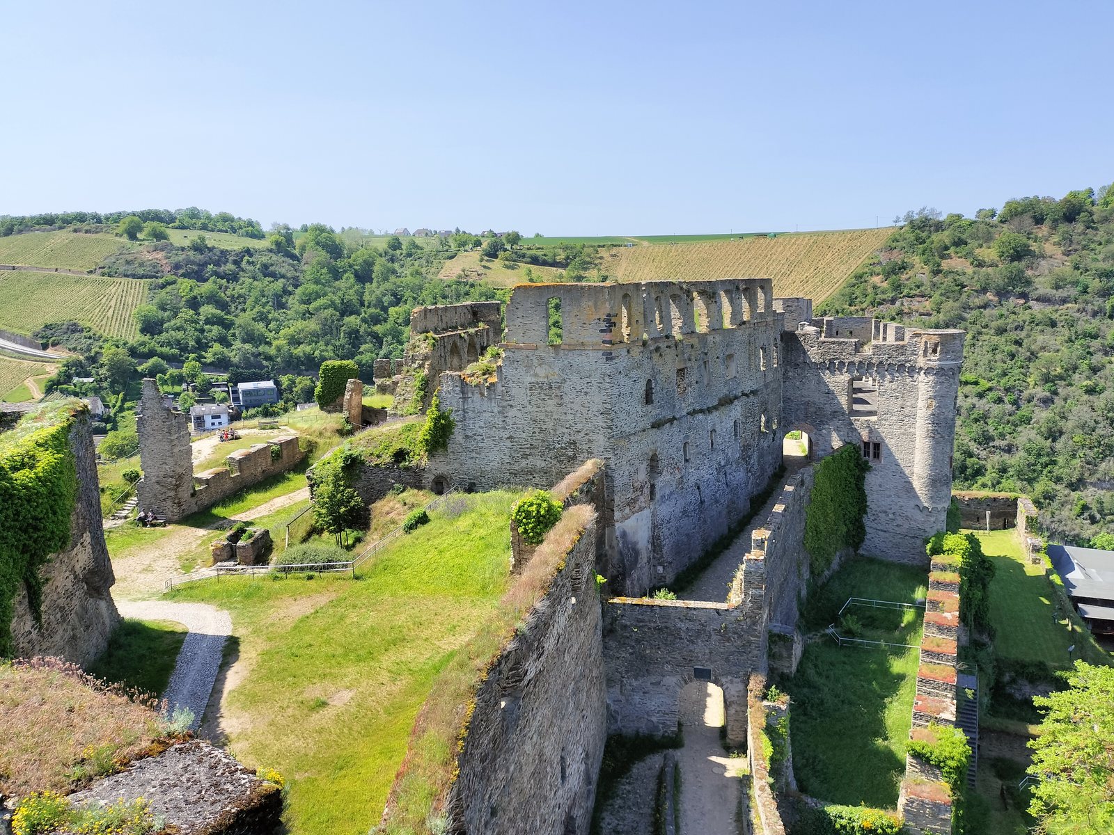 ライン渓谷を見下ろす古城跡 Castle ruins above the Rhine valley