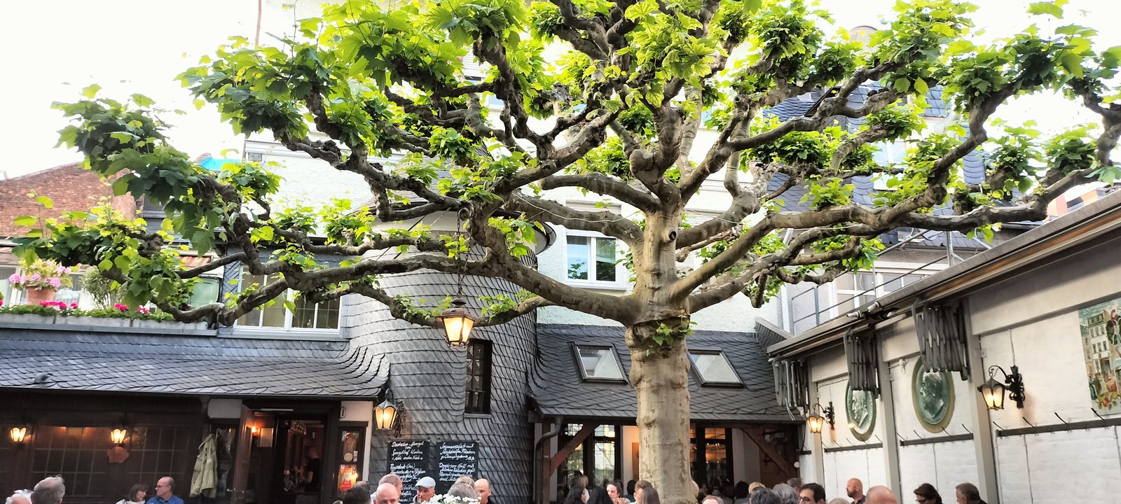 ザクセンハウゼンのアップルワイン酒場の中庭 Courtyard of a traditional apple wine tavern in Sachsenhausen, Frankfurt