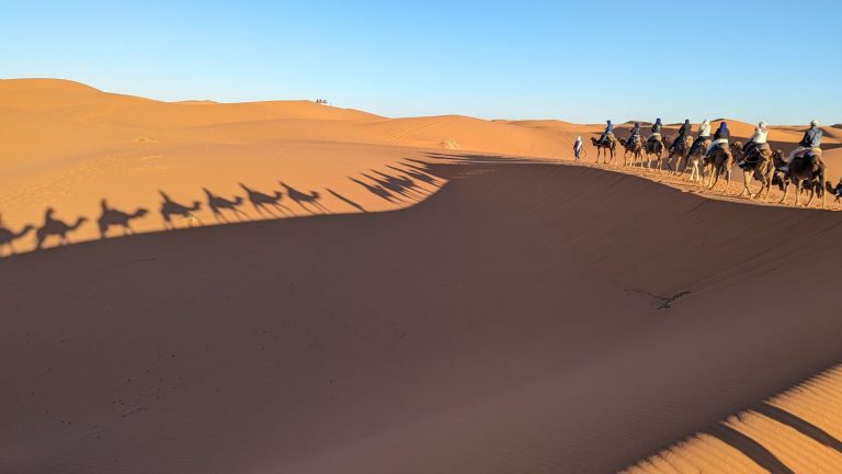 砂丘に伸びるラクダ隊の影 Shadows of a camel caravan across the dunes