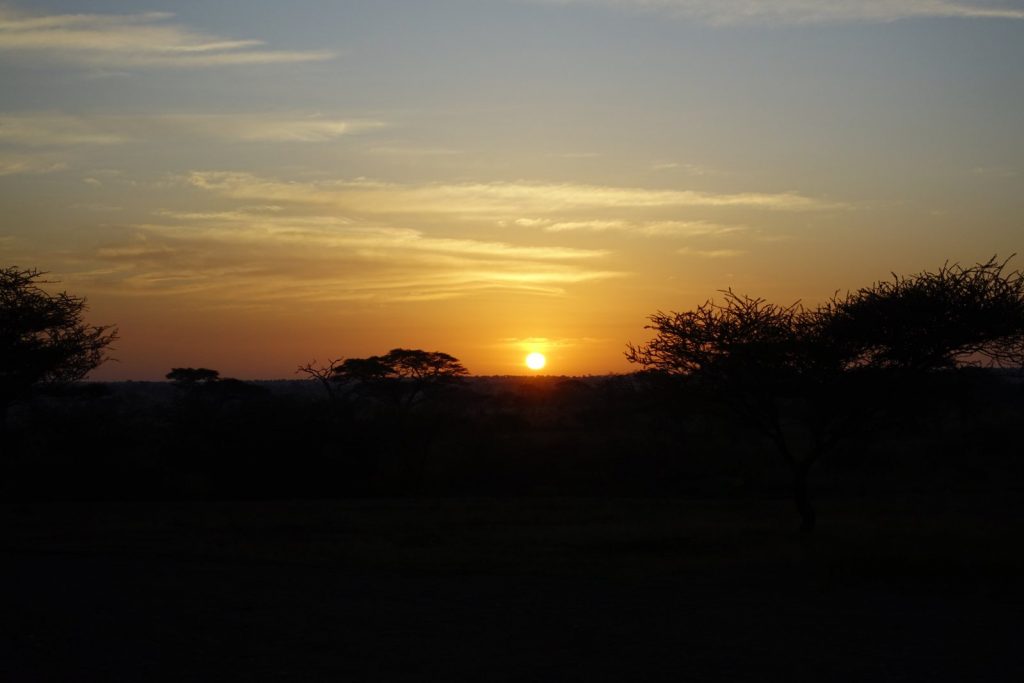サバンナに沈む夕日とアカシア Sunset over the savanna, Tanzania