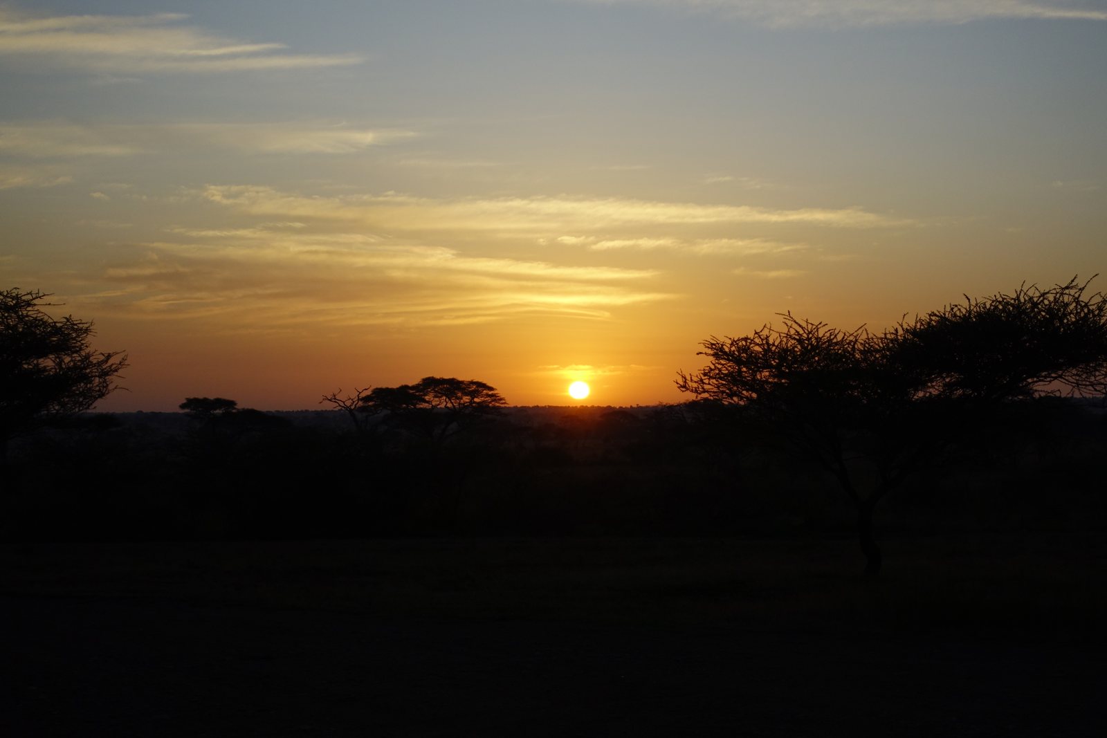 セレンゲティのサバンナに沈む夕日 Sunset over the Serengeti savanna, Tanzania