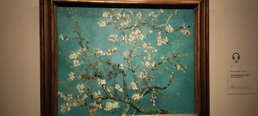 ゴッホ「花咲くアーモンドの木の枝」の展示 Van Goghs Almond Blossom on display