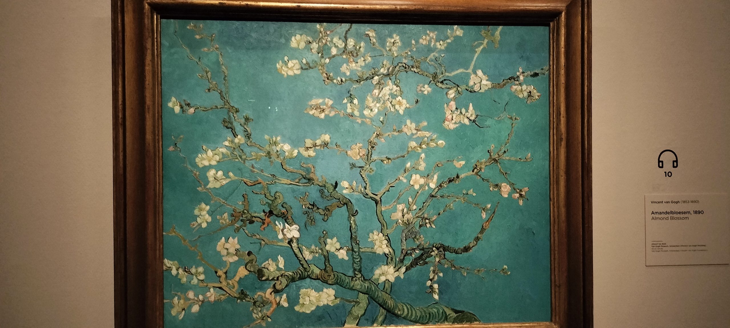 ゴッホ美術館 完全ガイド — アーモンドの枝から花魁まで、人生を歩く2時間