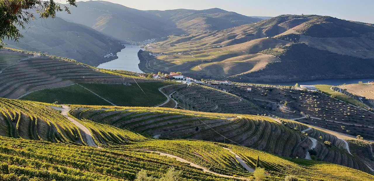 ドウロ渓谷の段々畑 Terraced vineyards of the Douro Valley, Portugal