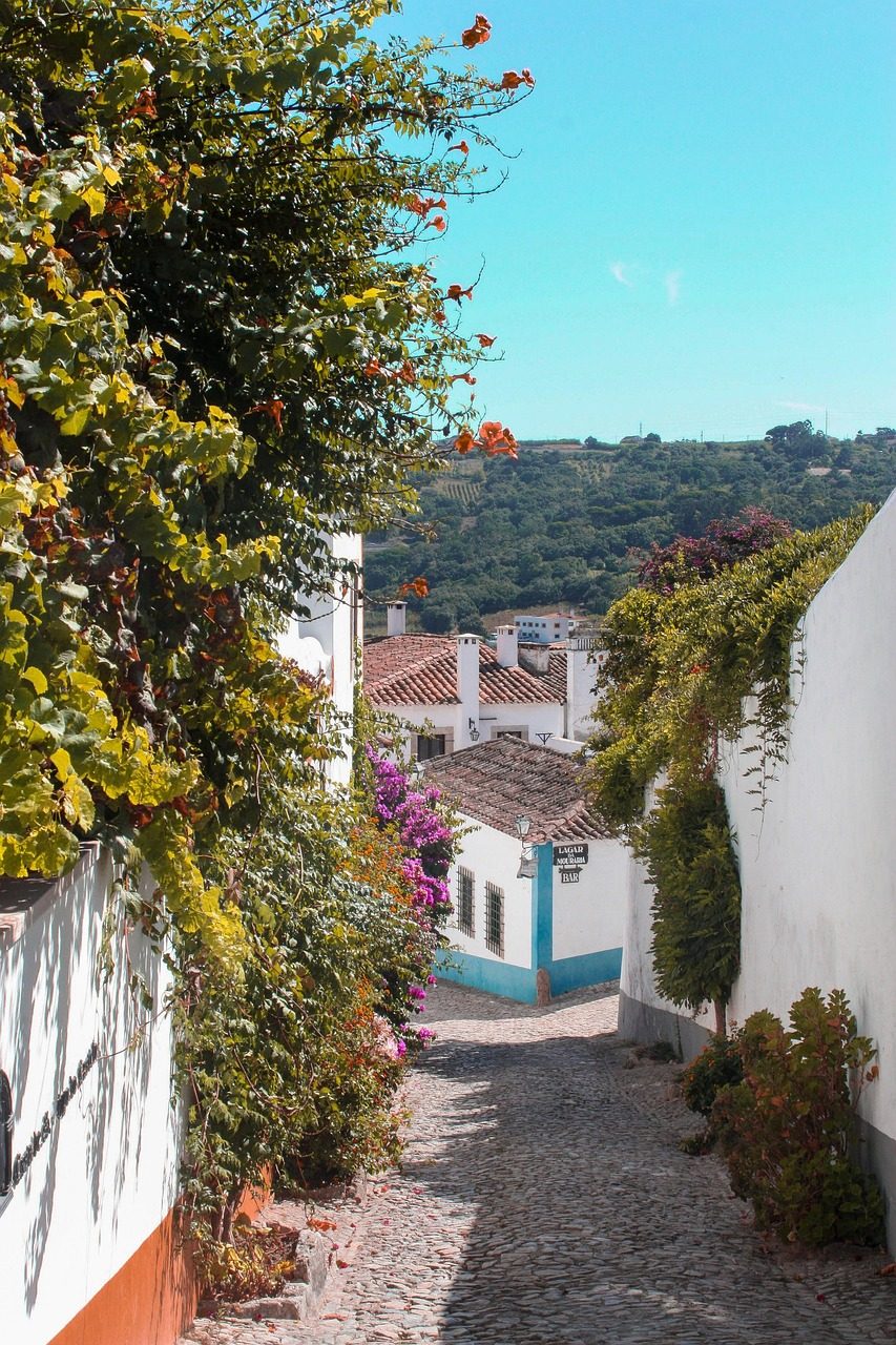 花の咲く白壁の路地 Flowered whitewashed lane in Obidos
